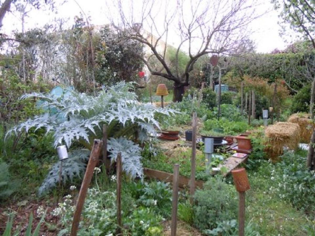 Apiflore Garéoult 外观 照片