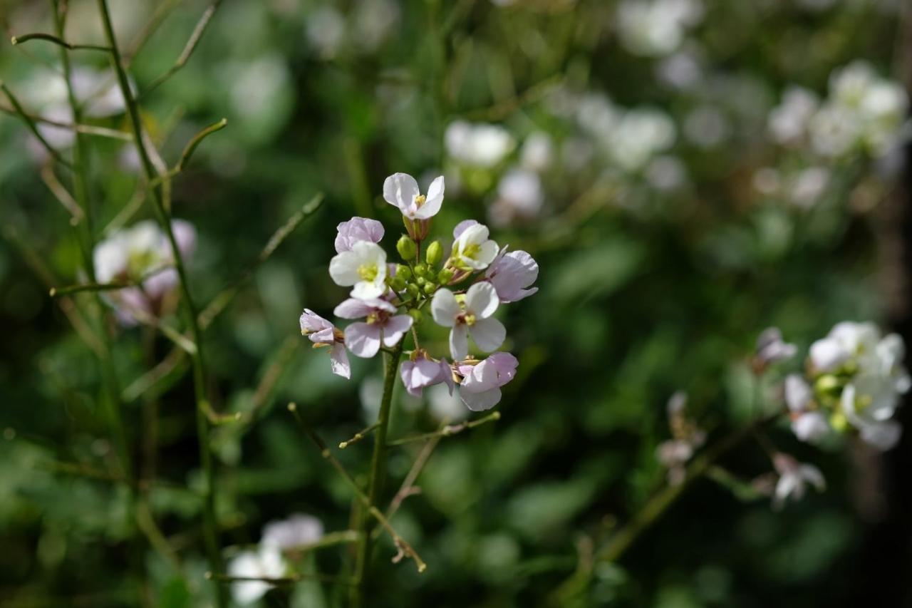 Apiflore Garéoult 外观 照片